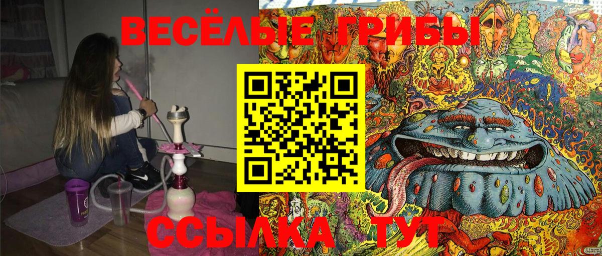 Псилоцибиновые грибы GOLDEN TEACHER  Вход с VPN  Красноуфимск 