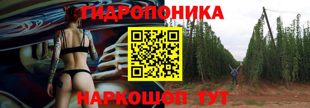 Бошки Шишки планчик  Конопля Bruce Banner  Каннабис Ganja  Вход с VPN  Красноуфимск  Марихуана планчик 